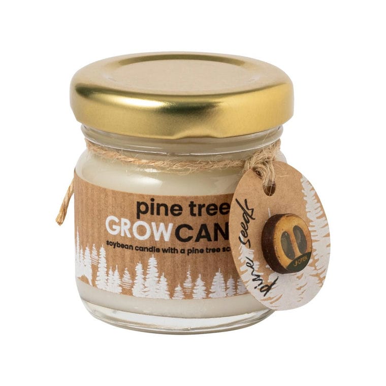 Lumânare Lisa natural