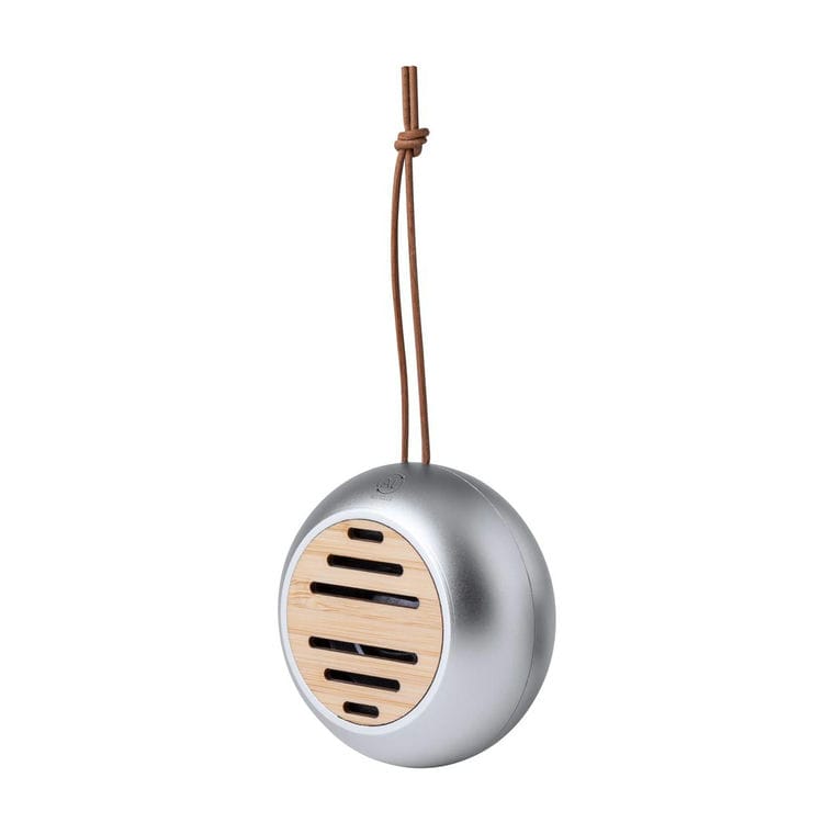 Boxă bluetooth Hiwent argintiu