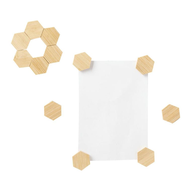 Set magneți frigider Lirix natural