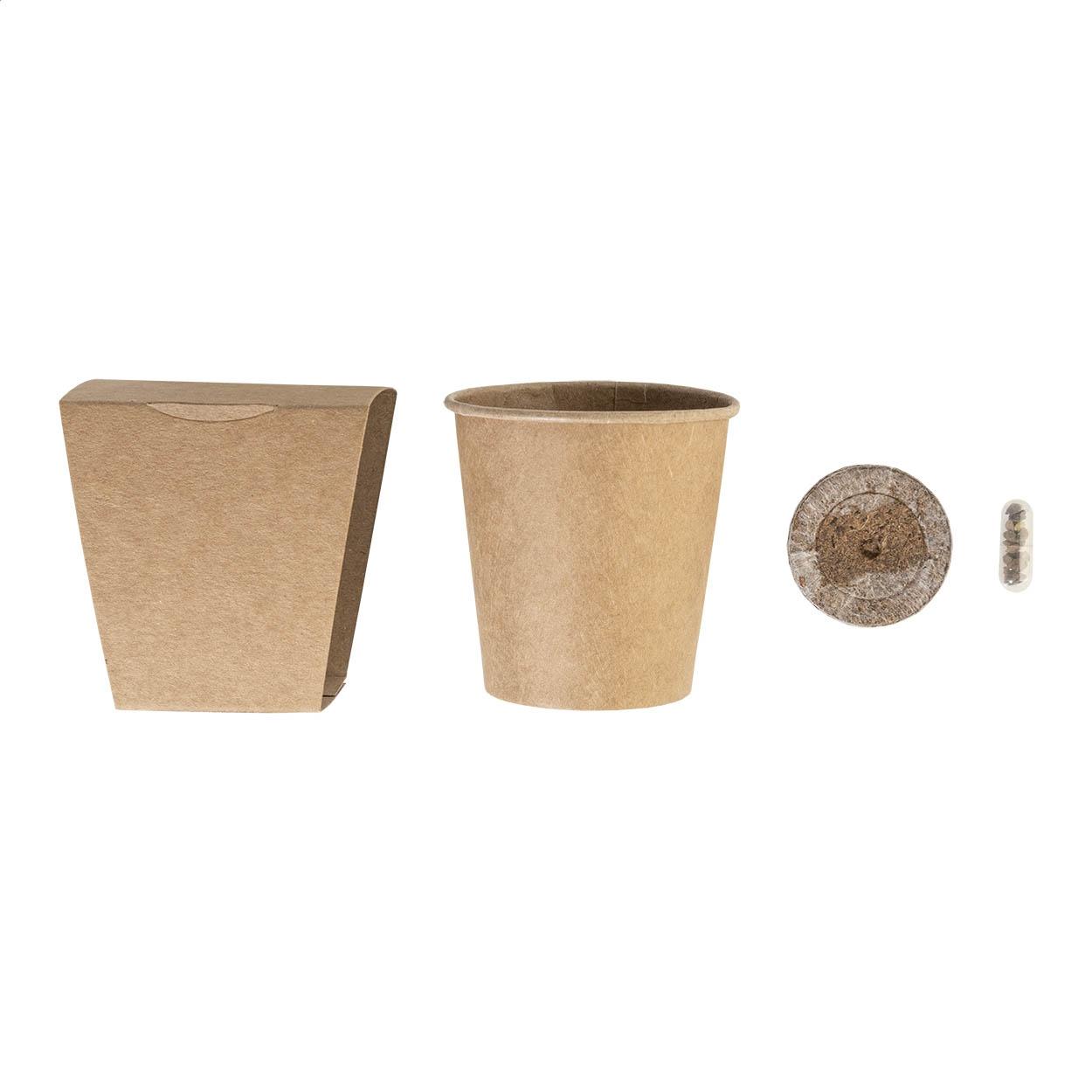 Set pentru cultivarea bradului de Crăciun MerryGrow natural