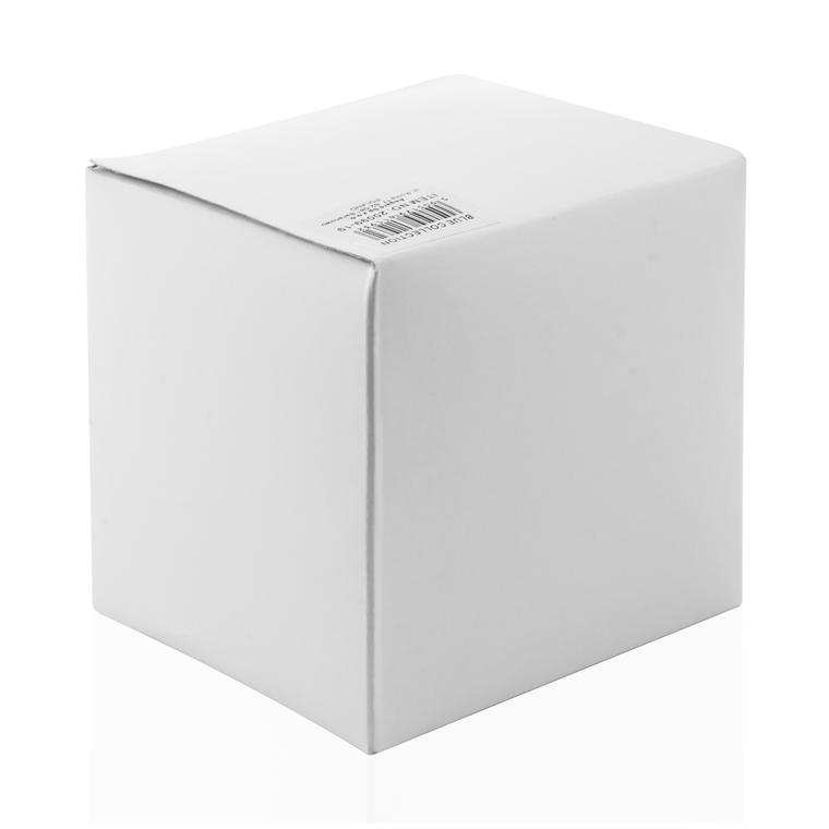 Pușculiță DOM transparent