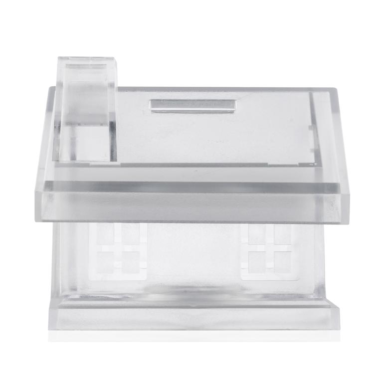 Pușculiță DOM transparent