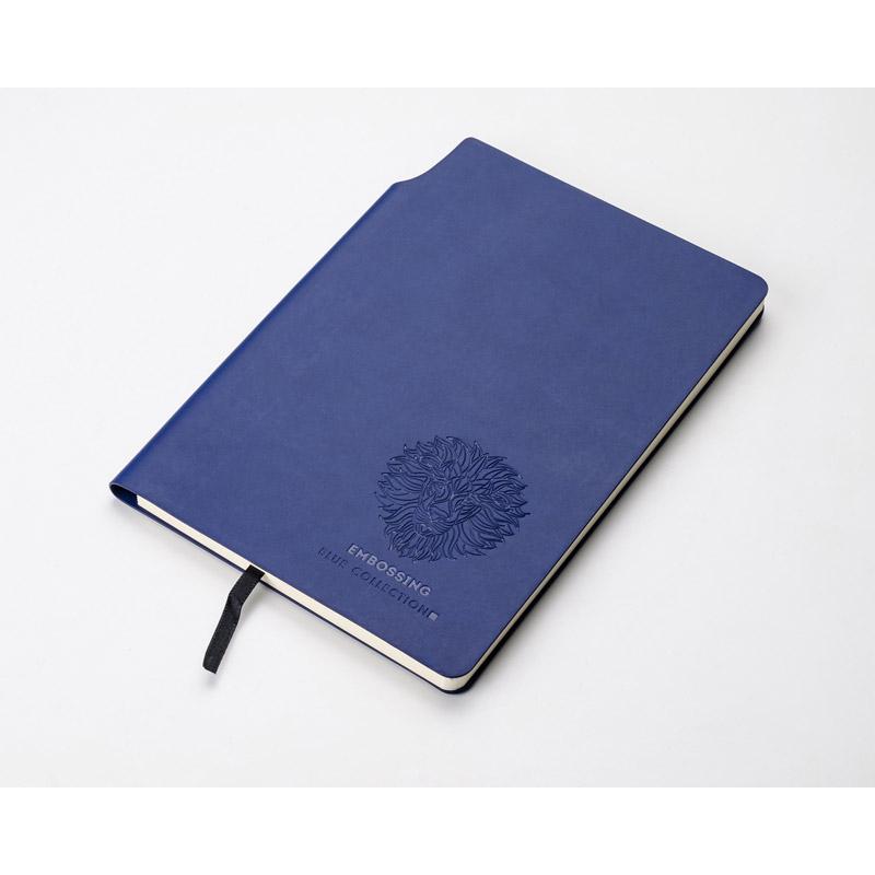 Notebook MOLI A5 albastru