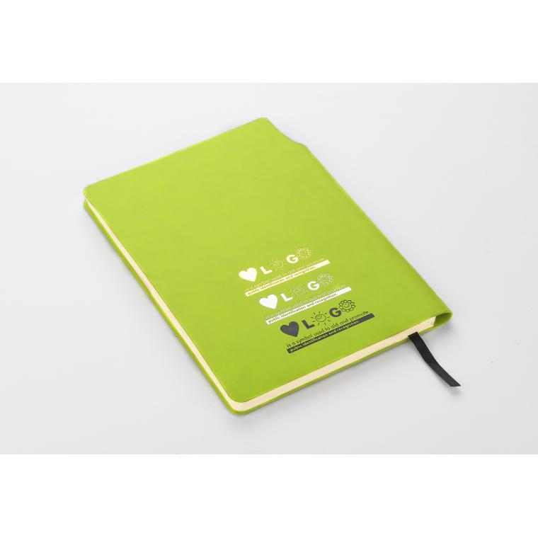 Notebook MOLI A5 verde deschis