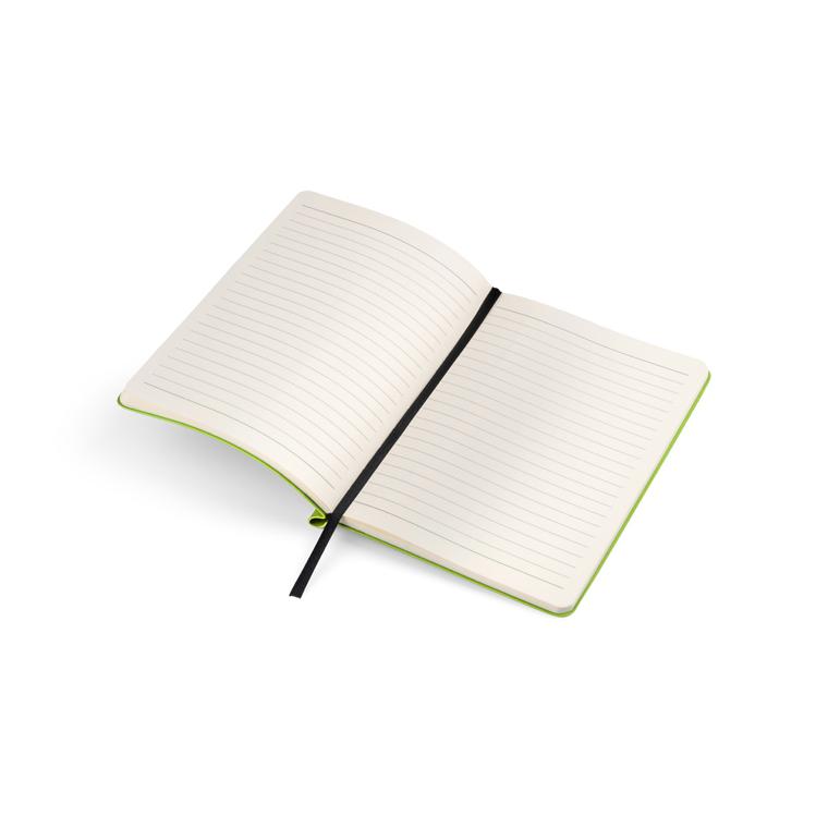 Notebook MOLI A5 verde deschis