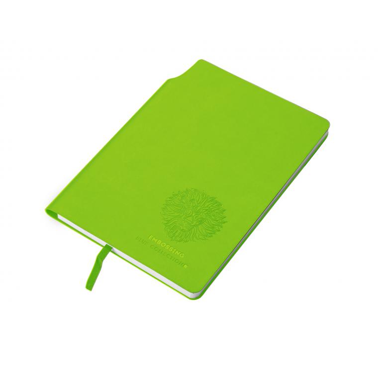 Notebook MOLI A5 verde deschis