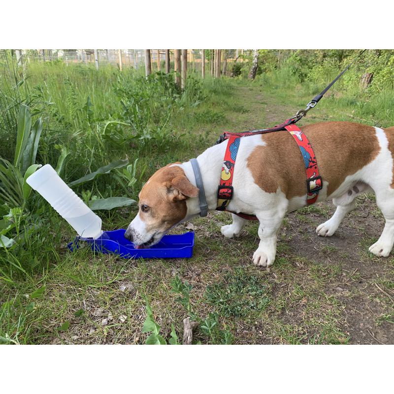 Sticlă pentru animale de companie MAX 500 ml Albastru