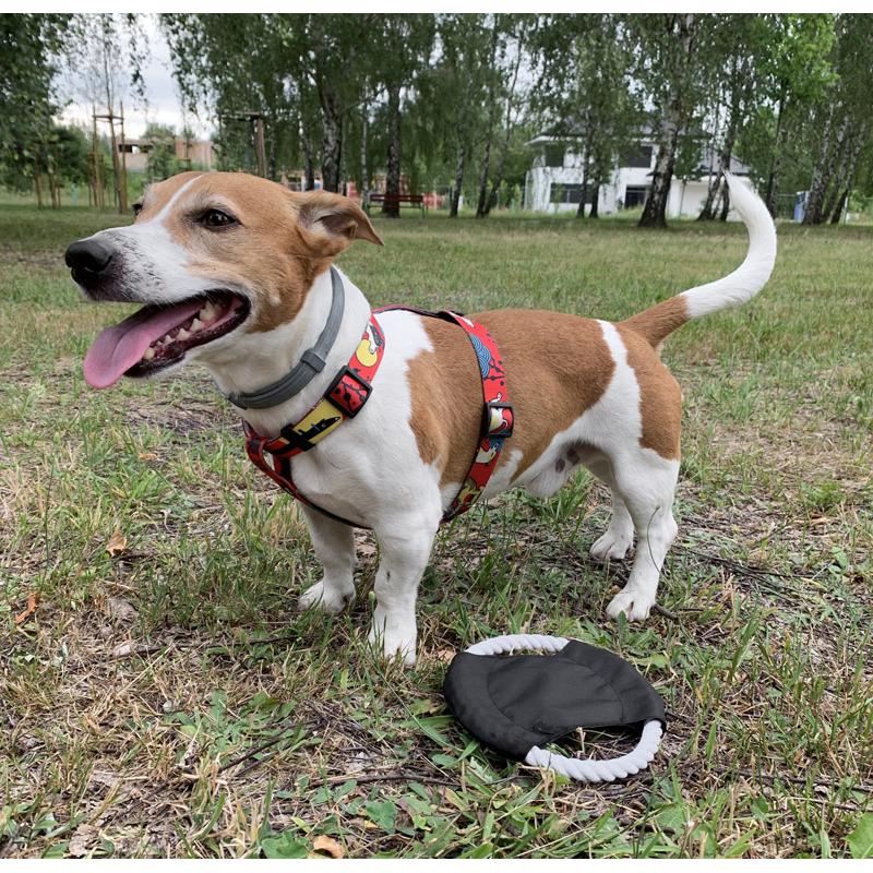 Frisbee pentru câine RINGO Negru