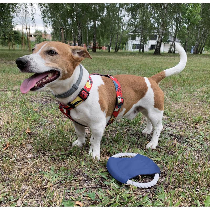 Frisbee pentru câine RINGO Albastru