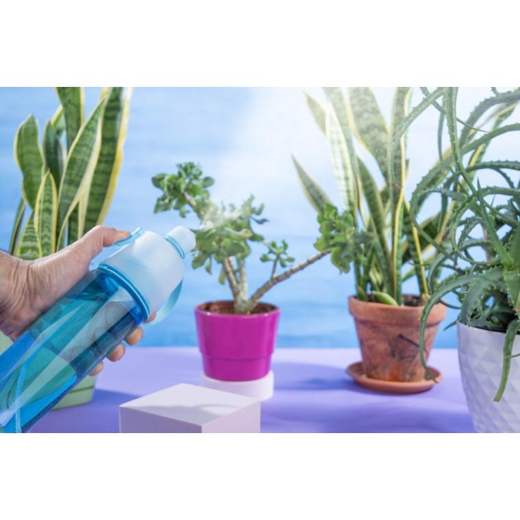 Sticlă cu pulverizator SPRAY 600 ml Albastru