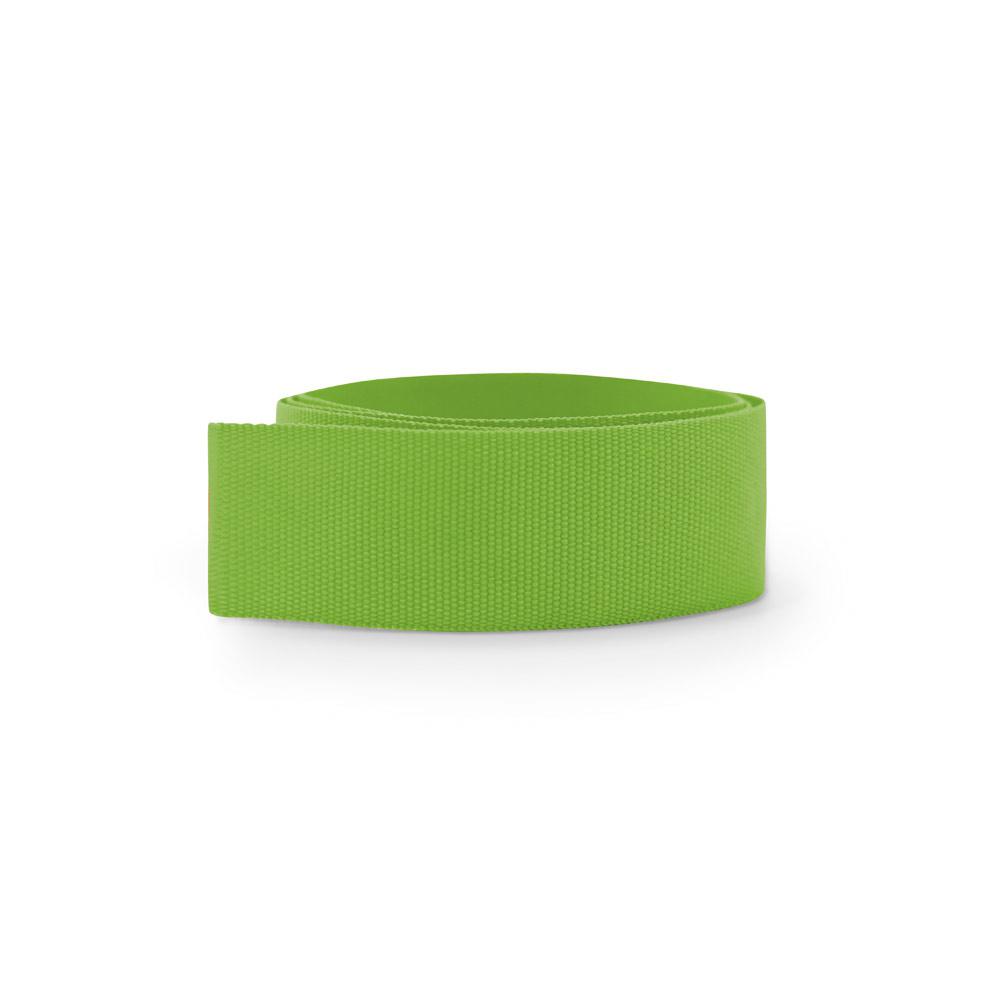 BURTON. Panglică pentru pălărie Verde deschis