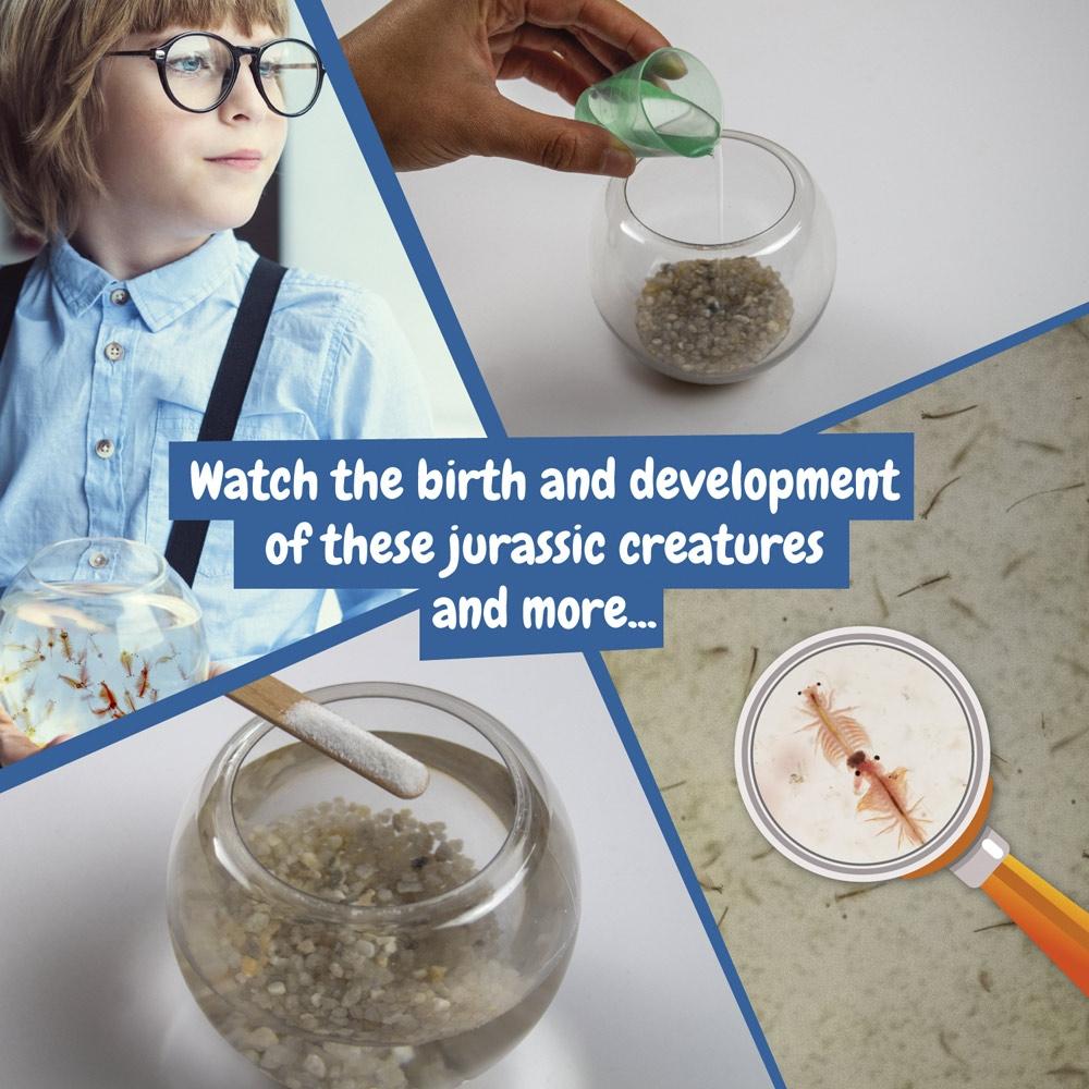 Jurassic Pets Kit I. Joc educațional pentru copii Asortat