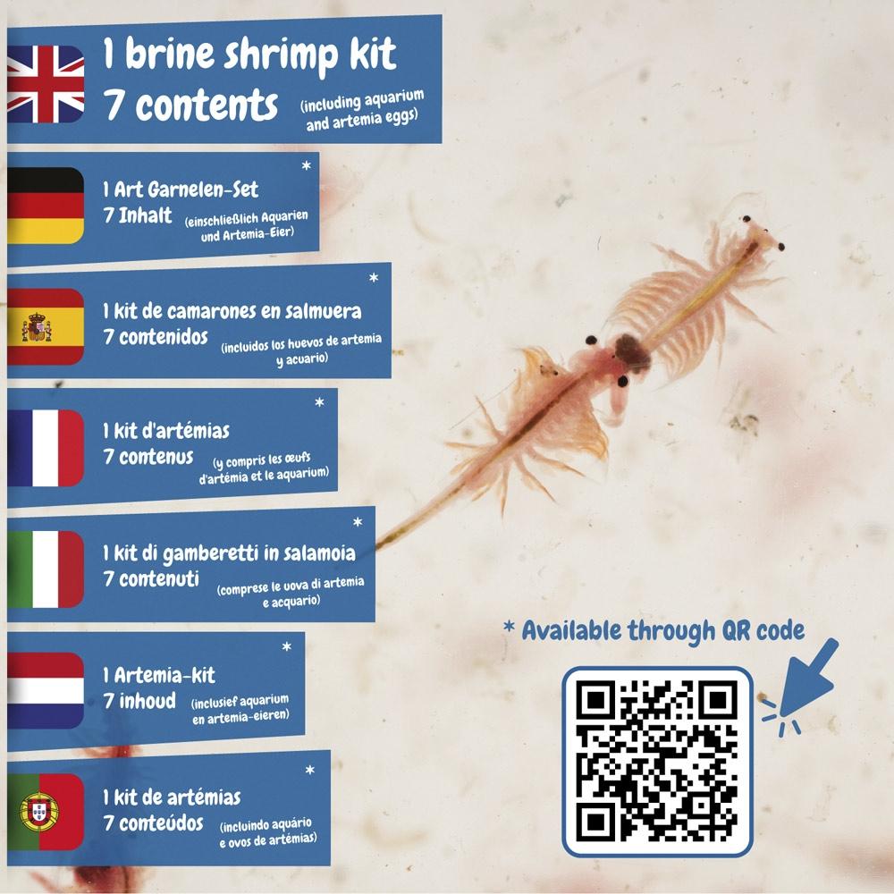 Jurassic Pets Kit I. Joc educațional pentru copii Asortat