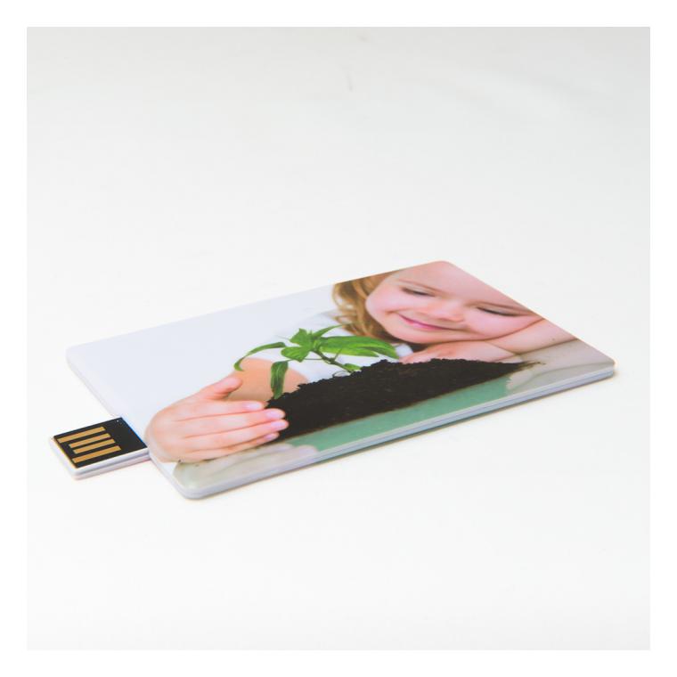 Stick memorie USB Bakersfield (Puzzle) 