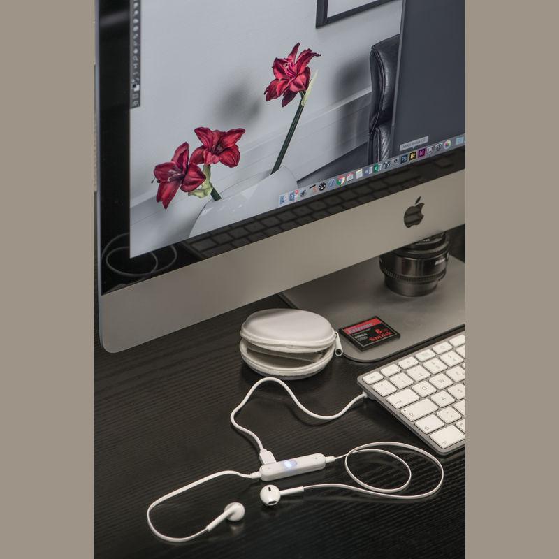Căști audio bluetooth în cutie cu fermoar Alb