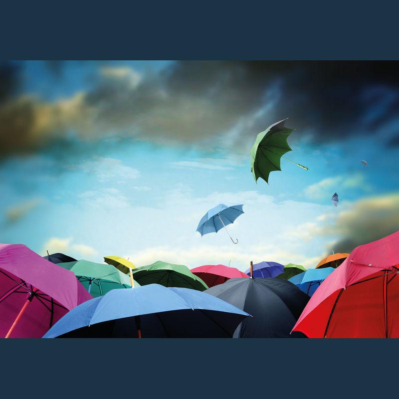Umbrelă automată cu mâner din lemn Orion Navy Blue