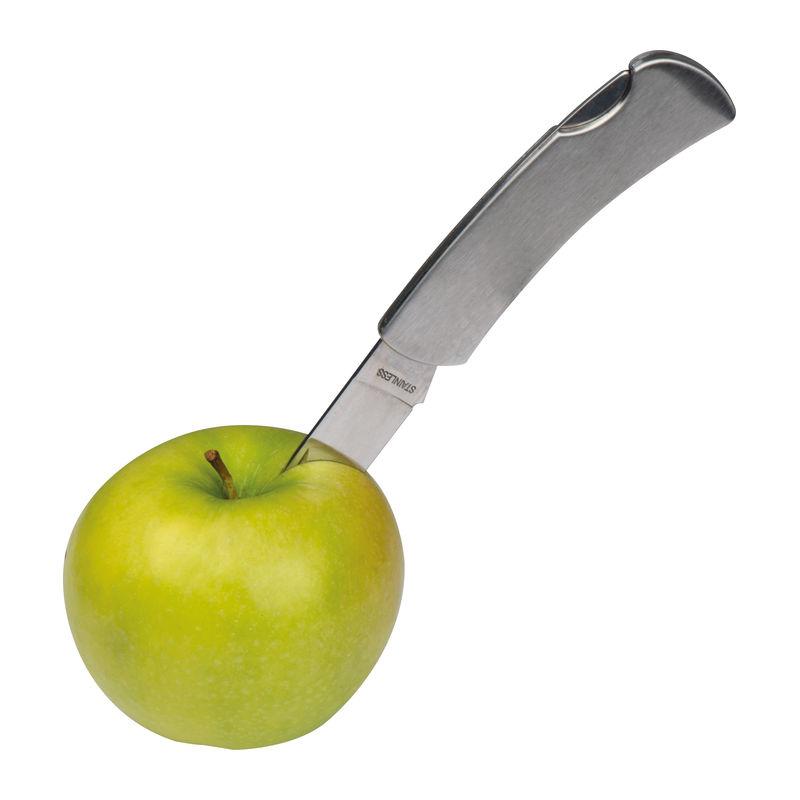 Briceag cu blocare de siguranță Gri