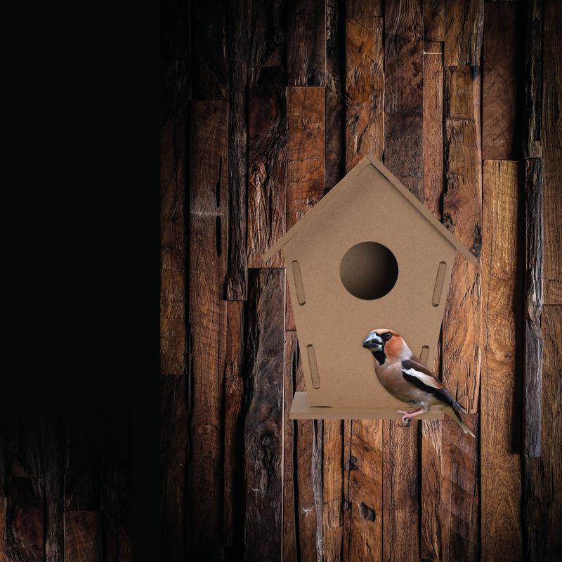 Feeder pasăre Beige
