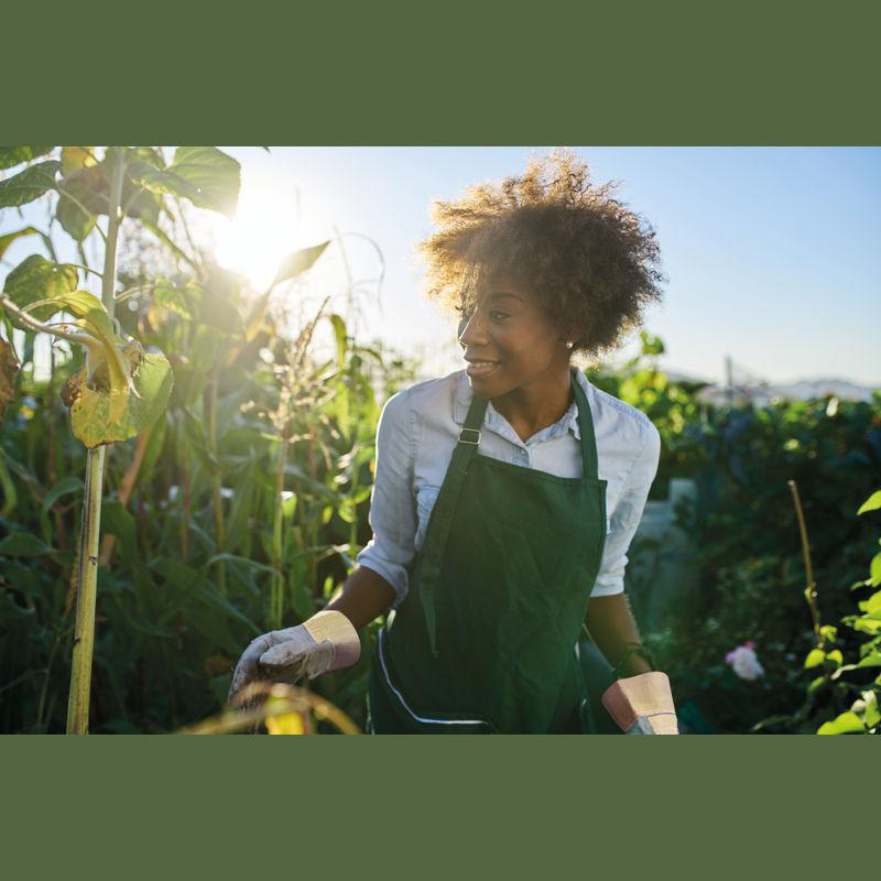 Mănuși de lucru Beige