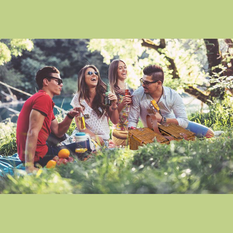 Coș picnic pentru 4 persoane Maro