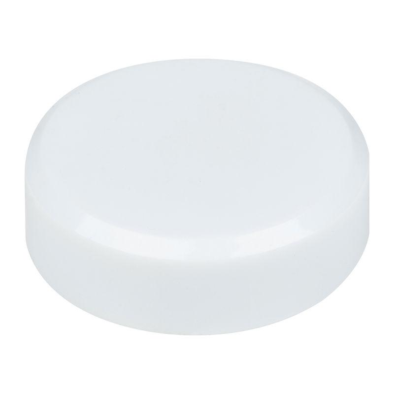 Magnet rotund Alb