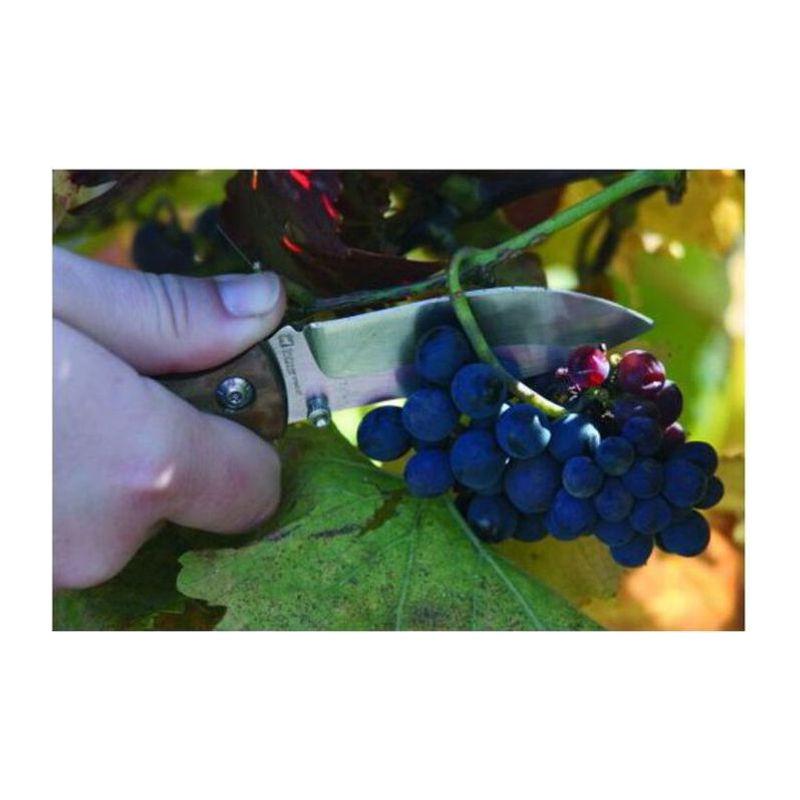 Cuţit de buzunar JUNGLE Negru