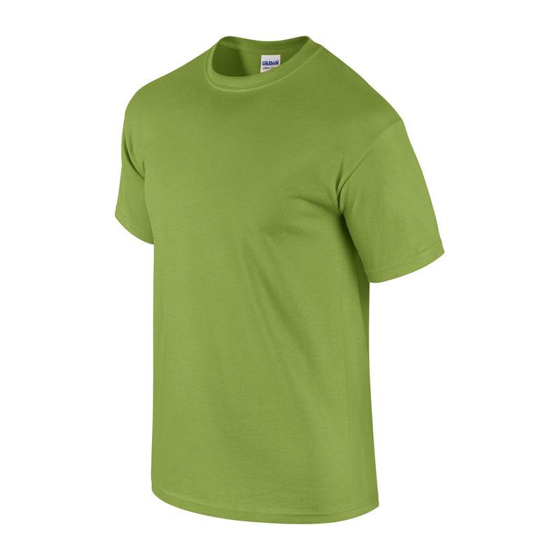 Tricou mânecă scurtă unisex GI2000 Verde 4XL
