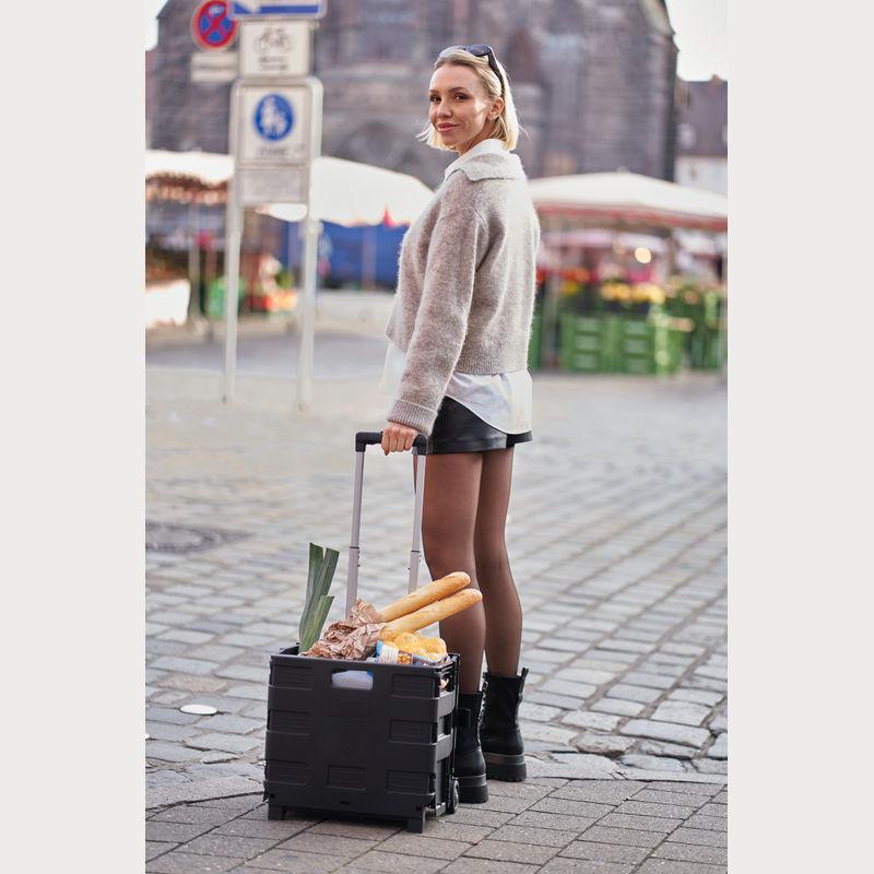 Cărucior pliabil pentru cumpărături Negru