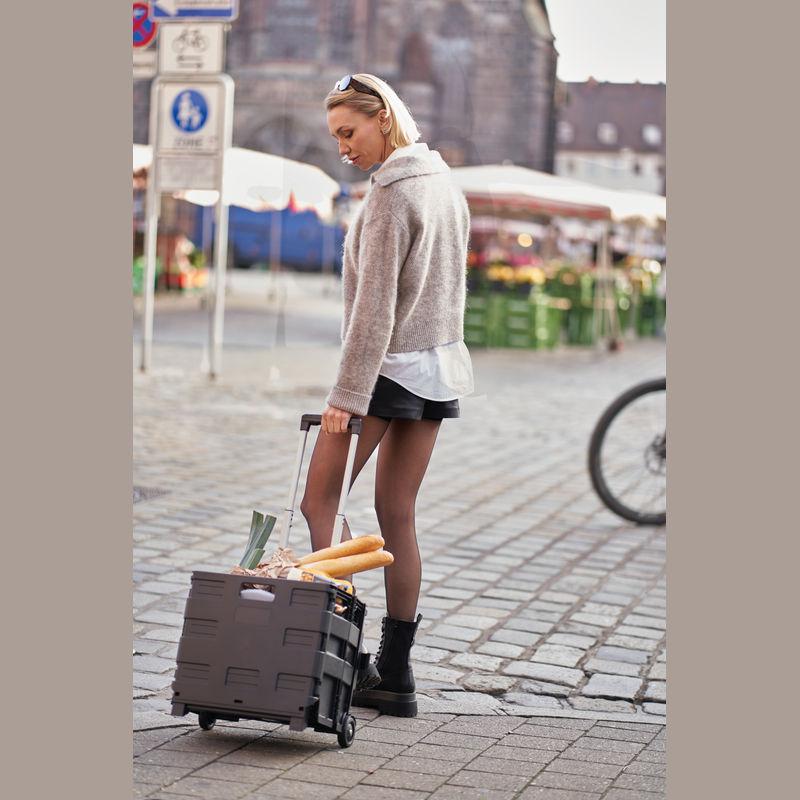 Cărucior pliabil pentru cumpărături Negru