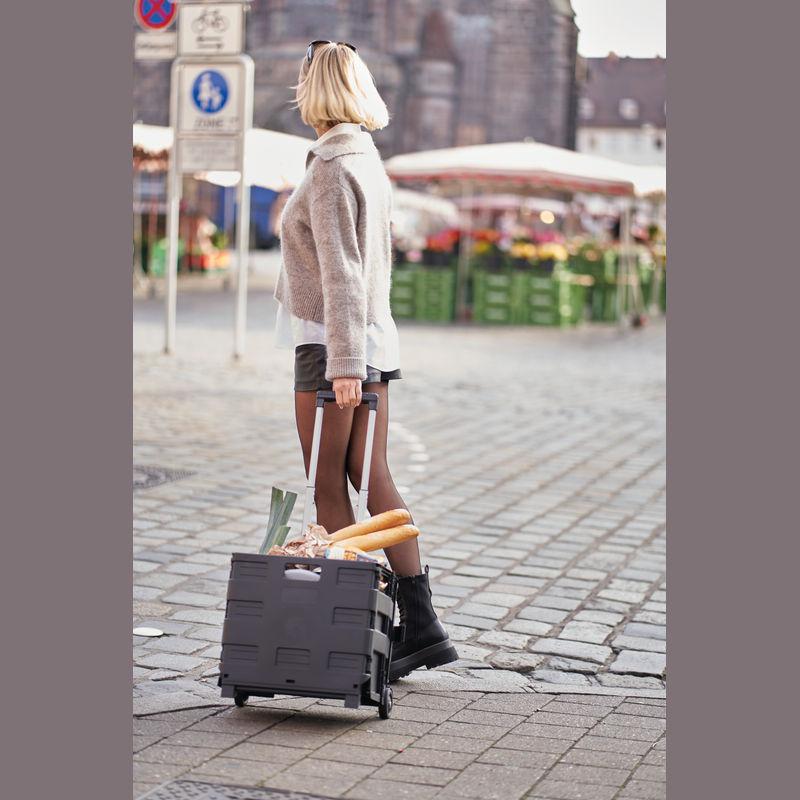 Cărucior pliabil pentru cumpărături Negru