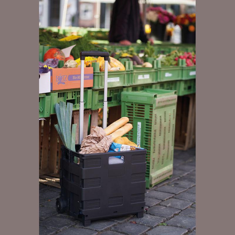 Cărucior pliabil pentru cumpărături Negru