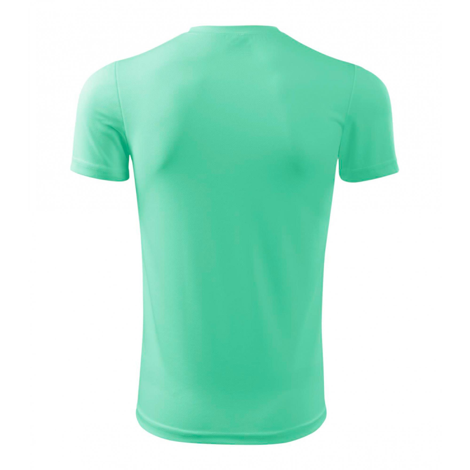 Tricou pentru bărbaţi Fantasy 124 Verde menta XL