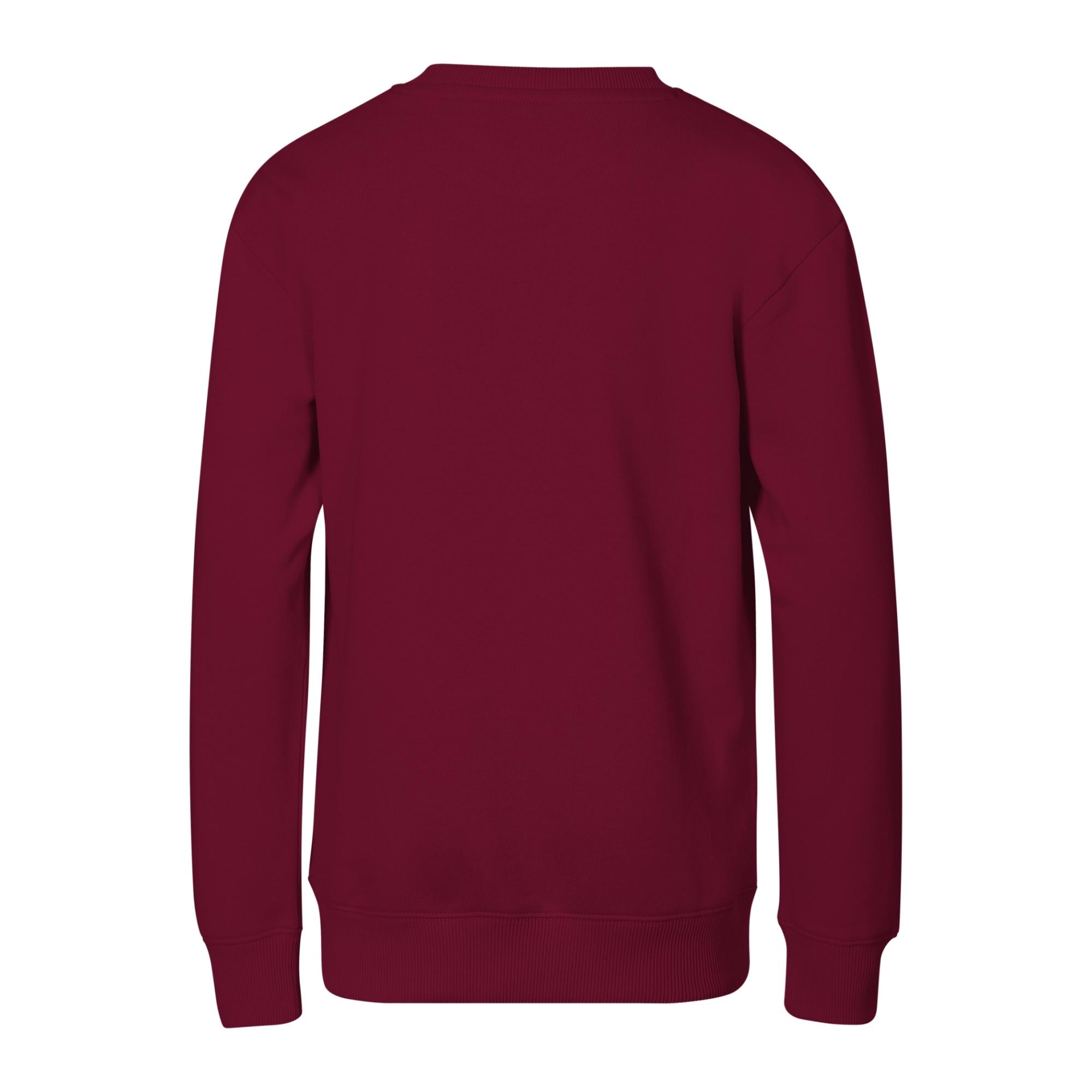 Hanorac pentru copii Crew 427 Garnet 10 ani